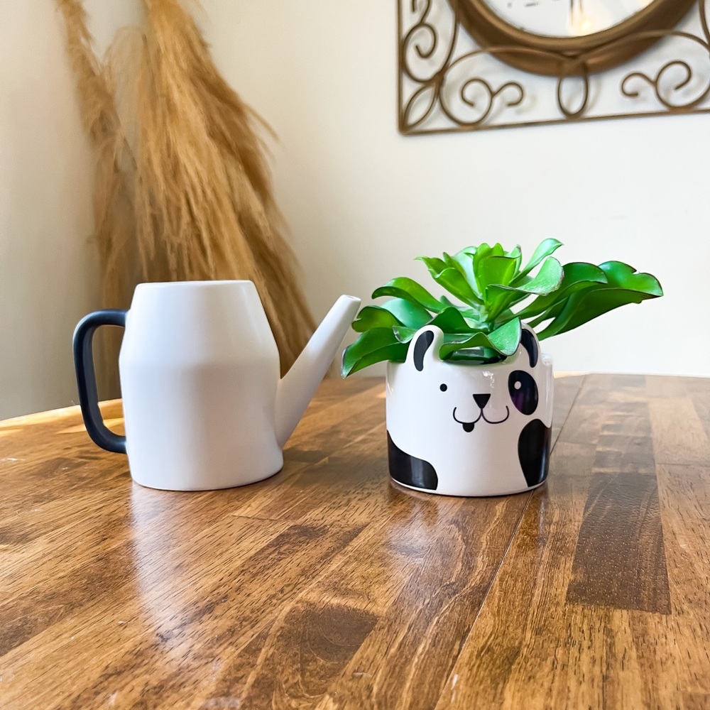 Ceramic Flower Pot & Watering Can Set (2)